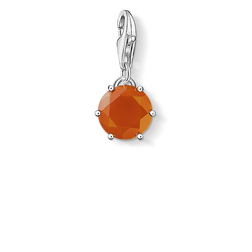 CHARM JANUARY