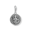 Charm pendant zodiac sign Aquarius