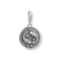 Charm pendant zodiac sign Pisces