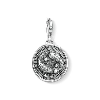 Charm pendant zodiac sign Pisces