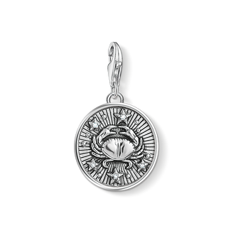 Charm pendant zodiac sign Cancer
