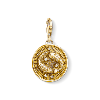 Charm pendant zodiac sign Pisces