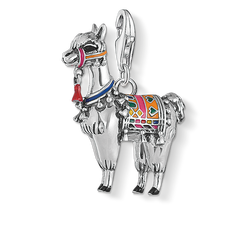 Charm - Ilama