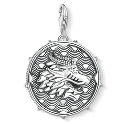 Charm - Rebel Coin Dragon and Tiger