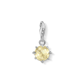 Charm pendant