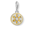 Charm pendant