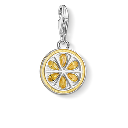 Charm pendant