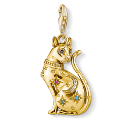 Charm pendant