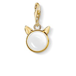 Charm pendant