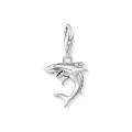 Charm pendant