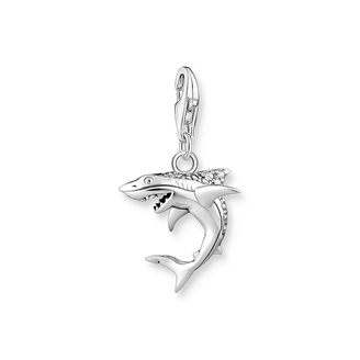 Charm pendant