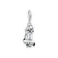 Colgante Charm zorro