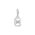 Unisex Zodiac Charms 925 Sterling silver, blackened/ zirconia colección 2024-1. 