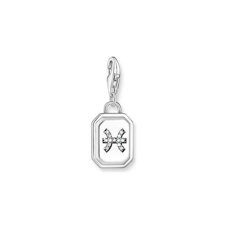 Unisex Zodiac Charms 925 Sterling silver, blackened/ zirconia colección 2024-1. 