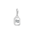 Unisex Zodiac Charms 925 Sterling silver, blackened/ zirconia colección 2024-1. 