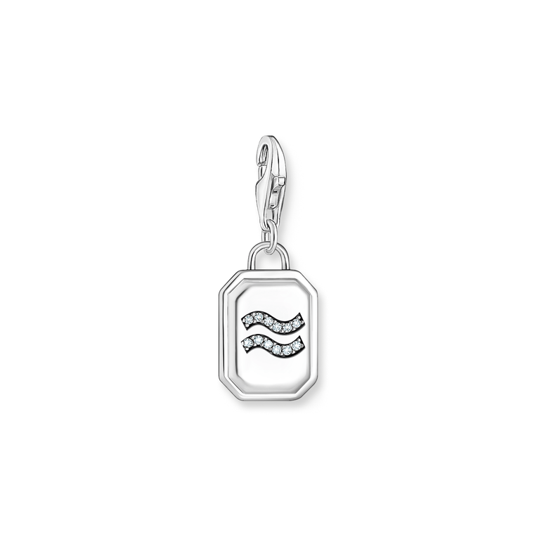 Unisex Zodiac Charms 925 Sterling silver, blackened/ zirconia colección 2024-1. 