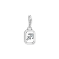 Unisex Zodiac Charms 925 Sterling silver, blackened/ zirconia colección 2024-1. 