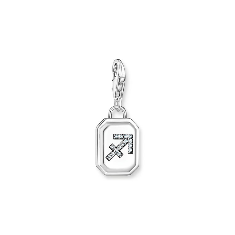 Unisex Zodiac Charms 925 Sterling silver, blackened/ zirconia colección 2024-1. 