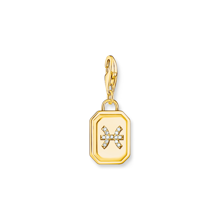 Unisex Zodiac Charms 925 Sterling silver, gold plated yellow gold/ zirconia colección 2024-1. 