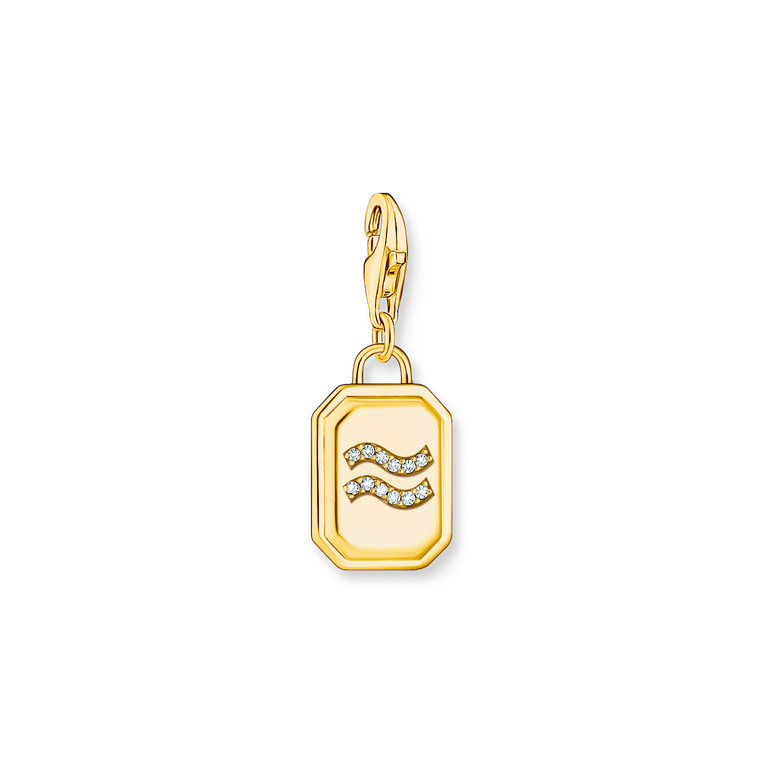 Unisex Zodiac Charms 925 Sterling silver, gold plated yellow gold/ zirconia colección 2024-1. 