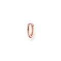 hoop earring