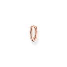 hoop earring