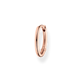 hoop earring