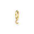hoop earring