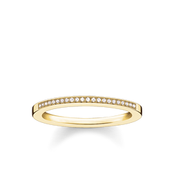 anillo