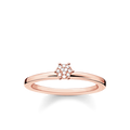 anillo