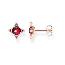 ear studs