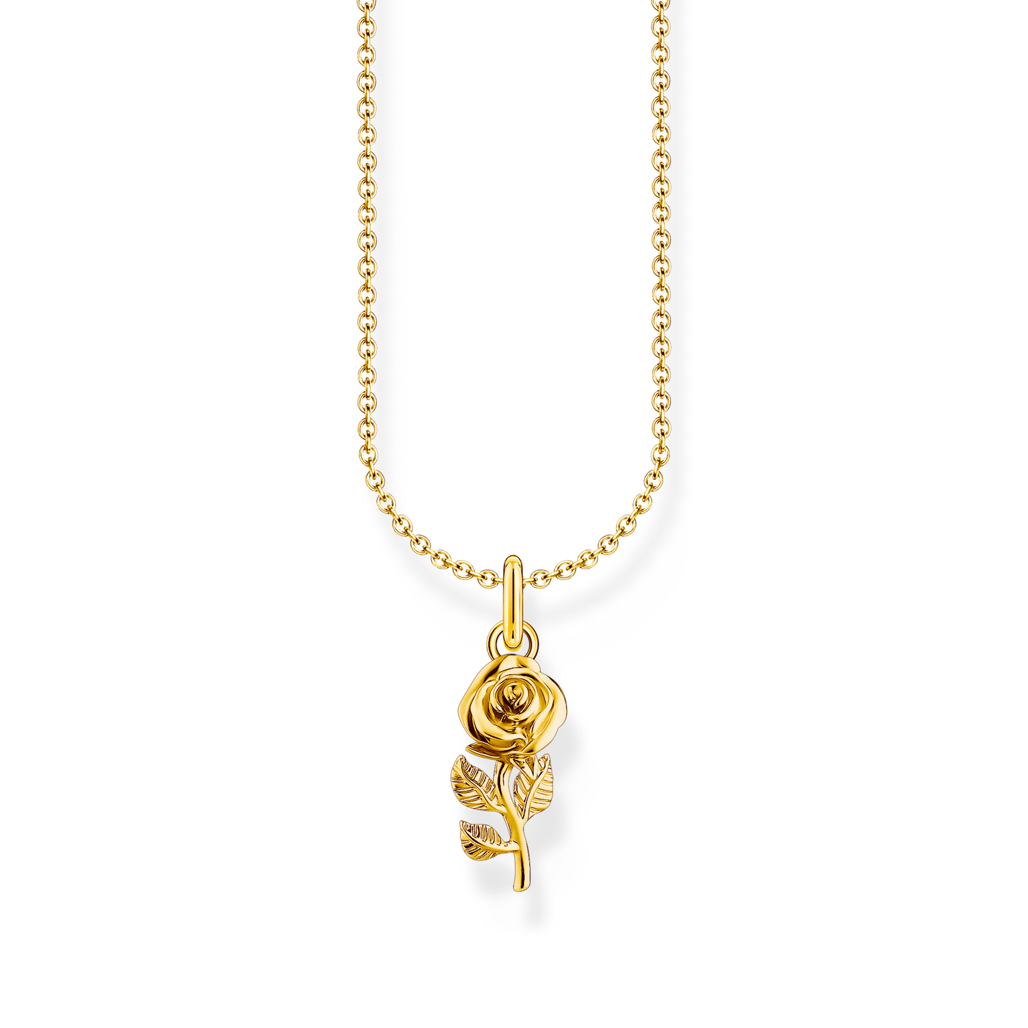 Cadena y colgante de rosa