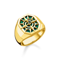 Anillo brújula