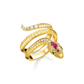 Apple & Snake