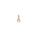 Charm Carrier