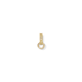Charm Carrier