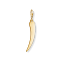 GOLDEN TOOTH