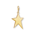 Charm pendant “Golden star”