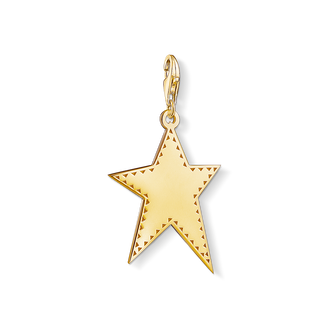 Charm pendant “Golden star”