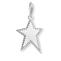 Charm pendant “Silver star”