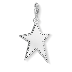 Charm pendant “Silver star”